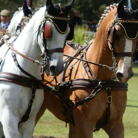 La Roulotte Du Domaine De Meigné