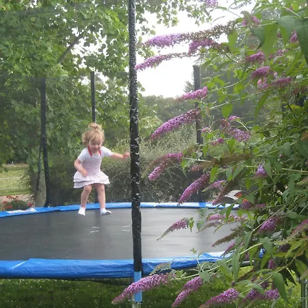 La Roulotte Du Domaine De Tatil Evi Meigné