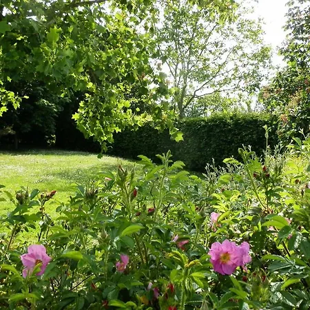 La Roulotte Du Domaine De Tatil Evi